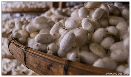Fábrica de seda - Dalat