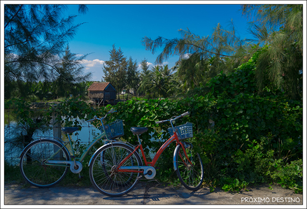 Recorrido en bicicleta por Hoi An