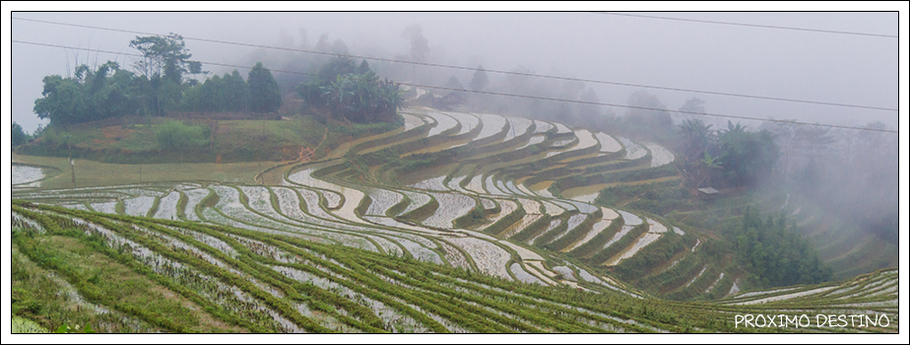 Terrazas de arroz en Sapa